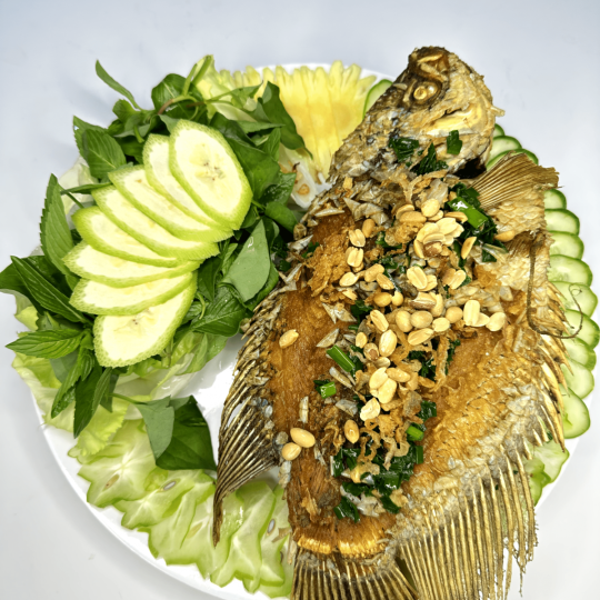 CÁ TAI TƯỢNG CHIÊN XÙ