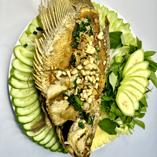 CÁ TAI TƯỢNG CHIÊN XÙ