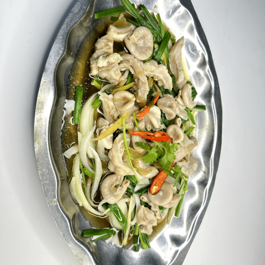 DỒI TRƯỜNG HẤP GỪNG