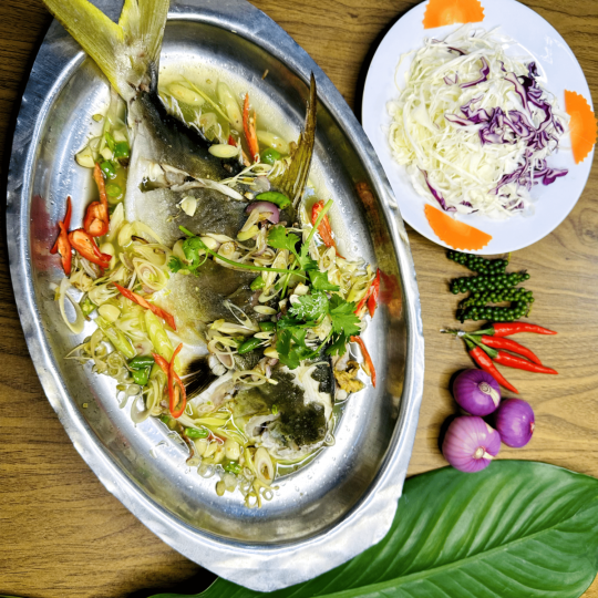 CÁ CHIM HẤP ỚT XIÊM XANH