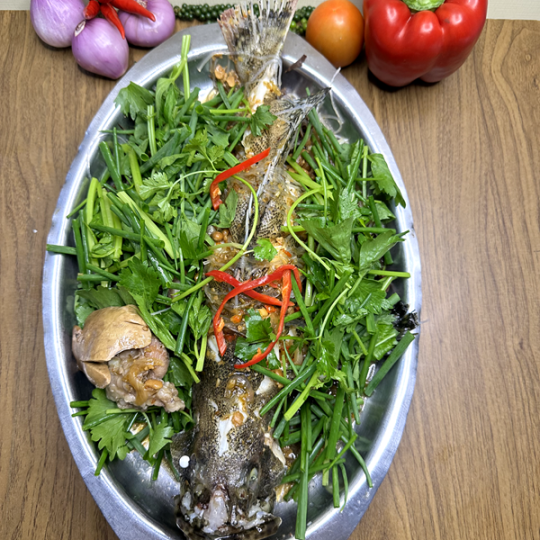 CÁ MÚ CHƯNG TƯƠNG