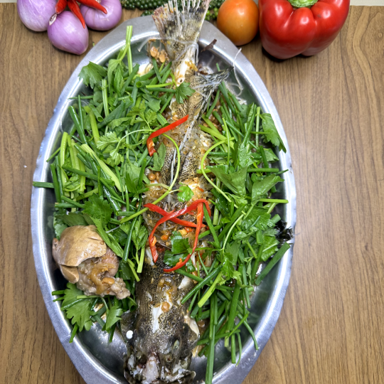 CÁ MÚ CHƯNG TƯƠNG