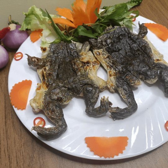 ẾCH NƯỚNG MỌI