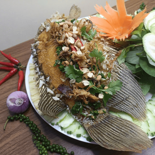 TAI TƯỢNG CHIÊN XÙ