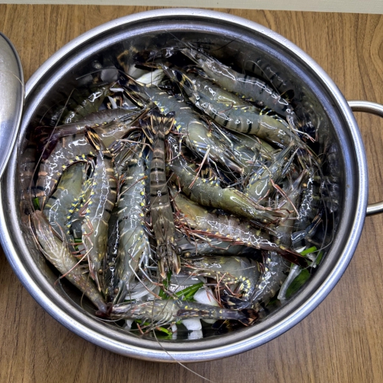 TÔM SÚ HẤP BIA