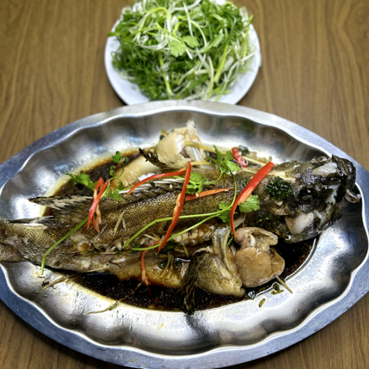 CÁ MÚ HẤP HỒNG KÔNG