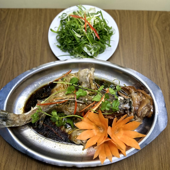 CÁ MÚ HẤP HONGKONG