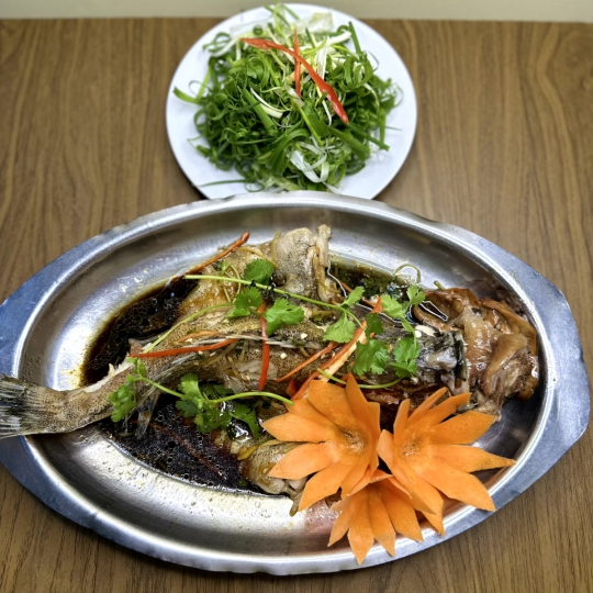 CÁ MÚ HẤP HONGKONG