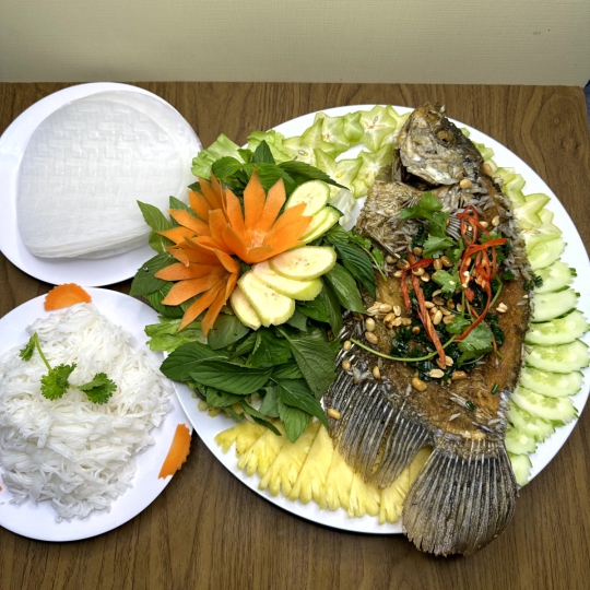 TAI TƯỢNG CHIÊN XÙ