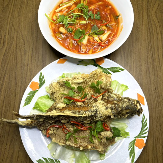 TAI TƯỢNG SỐT CHUA NGỌT