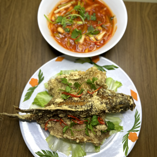 TAI TƯỢNG SỐT CHUA NGỌT