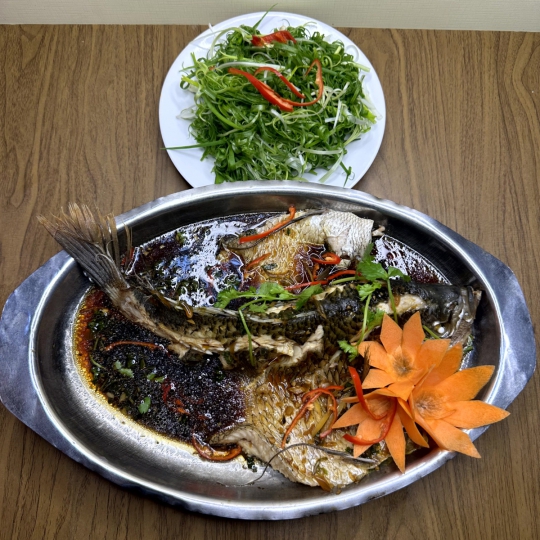 TAI TƯỢNG HẤP HONGKONG