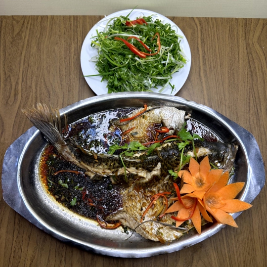 TAI TƯỢNG HẤP HONGKONG