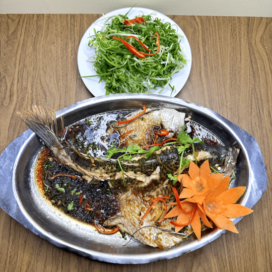 CÁ TAI TƯỢNG HẤP HỒNG KÔNG