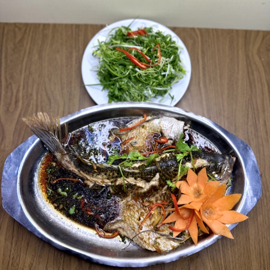 TAI TƯỢNG HẤP HONGKONG