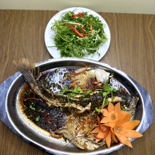 TAI TƯỢNG HẤP HONGKONG