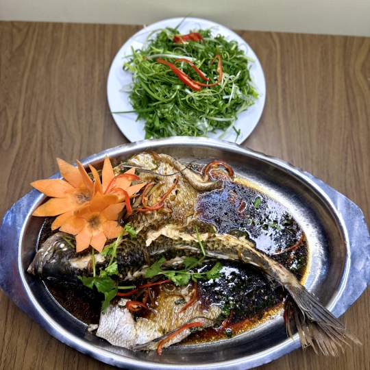 TAI TƯỢNG HẤP HONGKONG
