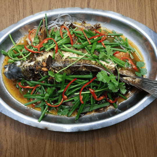 TAI TƯỢNG CHƯNG TƯƠNG