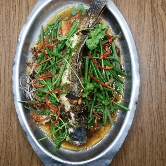 TAI TƯỢNG CHƯNG TƯƠNG